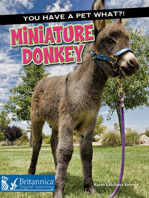 cover image of Miniature Donkey